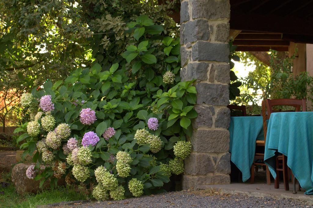 Country Hotel Mandra Edera Abbasanta Zewnętrze zdjęcie