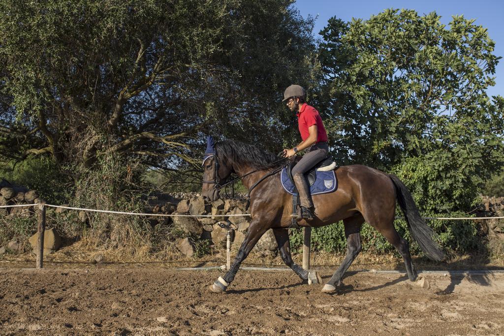 Country Hotel Mandra Edera Abbasanta Zewnętrze zdjęcie
