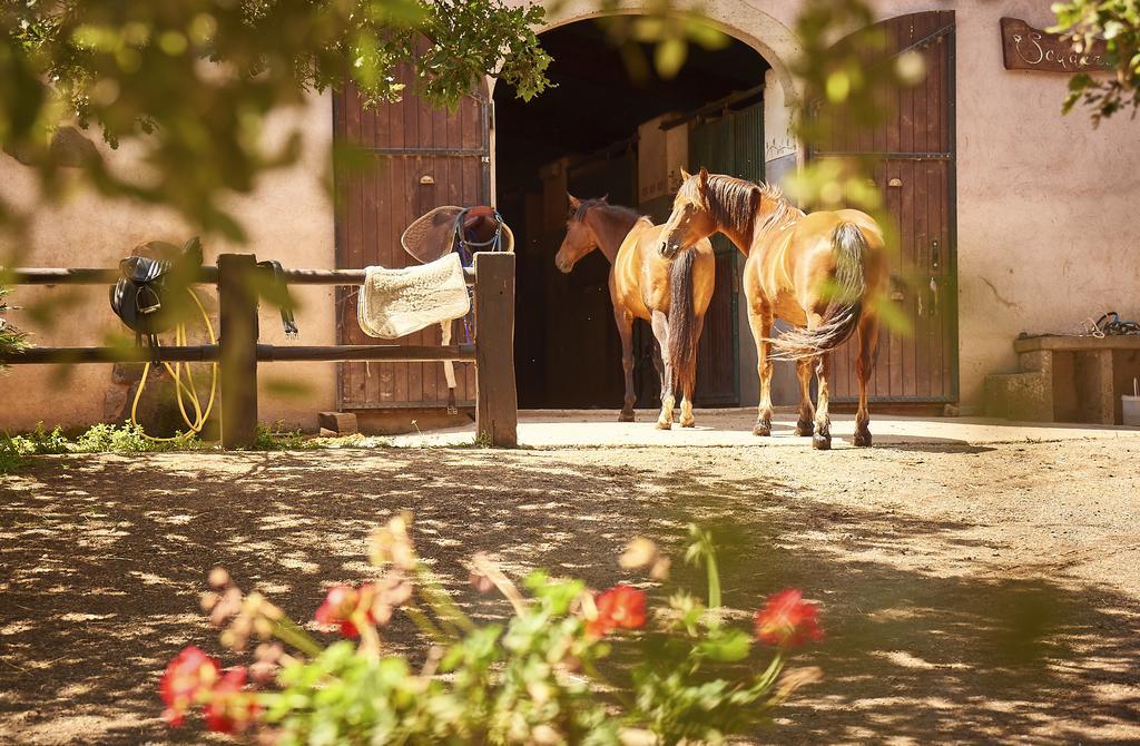 Country Hotel Mandra Edera Abbasanta Zewnętrze zdjęcie