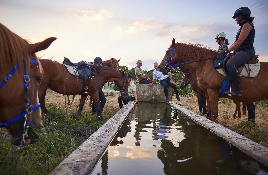 Country Hotel Mandra Edera Abbasanta Zewnętrze zdjęcie