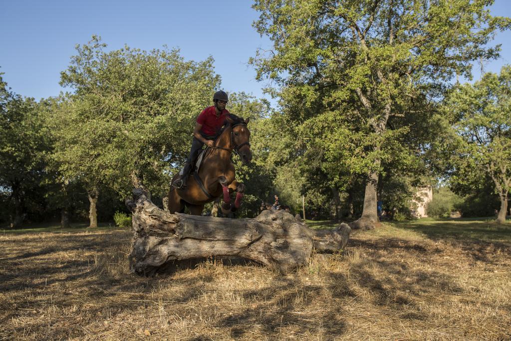 Country Hotel Mandra Edera Abbasanta Zewnętrze zdjęcie