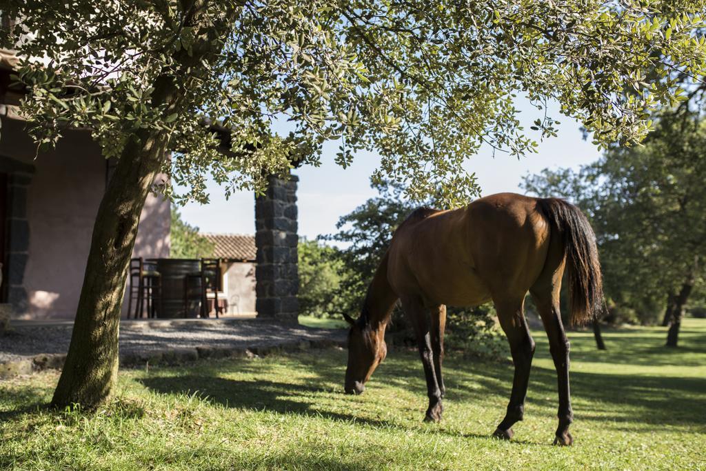 Country Hotel Mandra Edera Abbasanta Zewnętrze zdjęcie