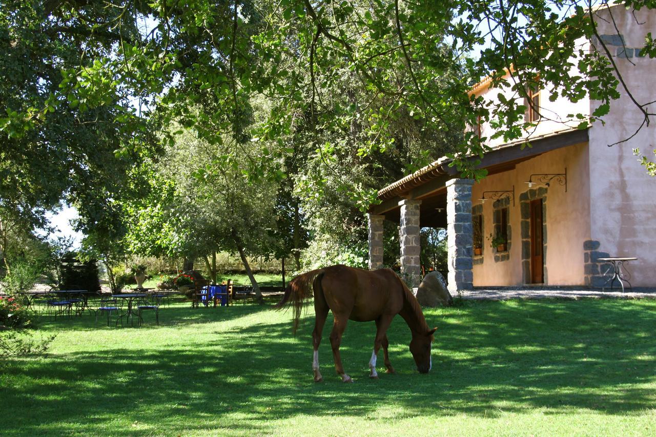 Country Hotel Mandra Edera Abbasanta Zewnętrze zdjęcie