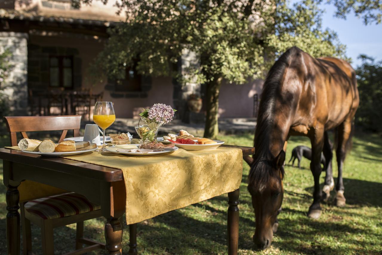 Country Hotel Mandra Edera Abbasanta Zewnętrze zdjęcie