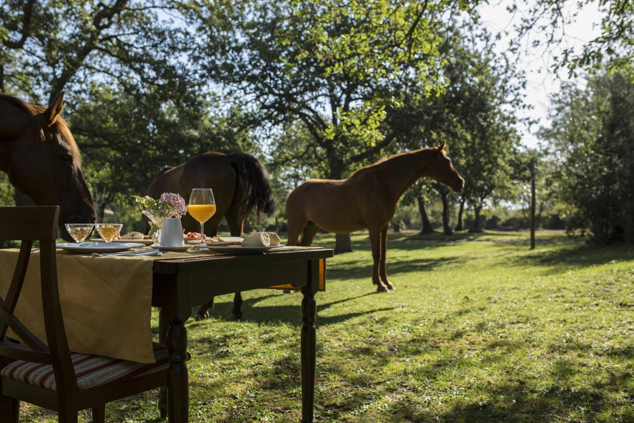 Country Hotel Mandra Edera Abbasanta Zewnętrze zdjęcie