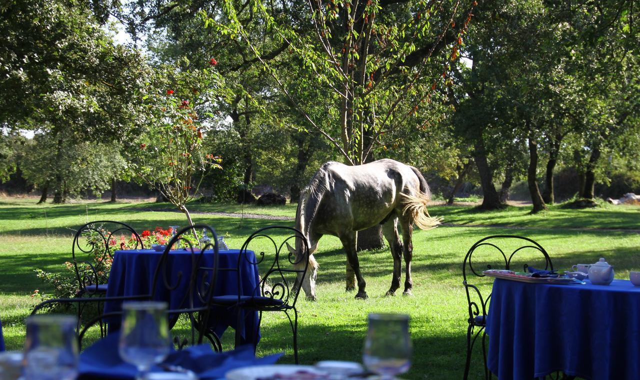 Country Hotel Mandra Edera Abbasanta Zewnętrze zdjęcie